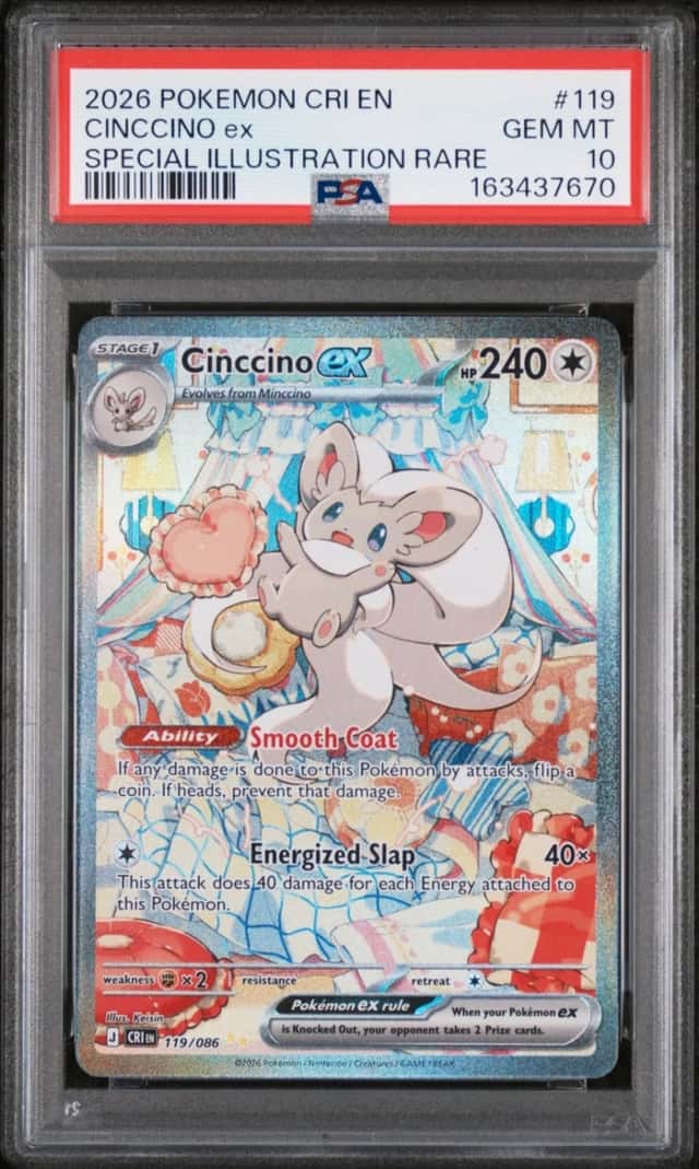 CINCCINO ex