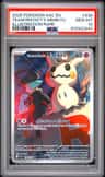 Team Rocket'S Mimikyu