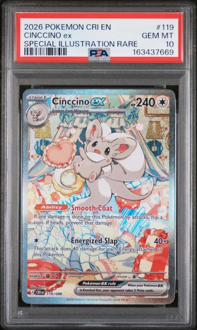 CINCCINO ex