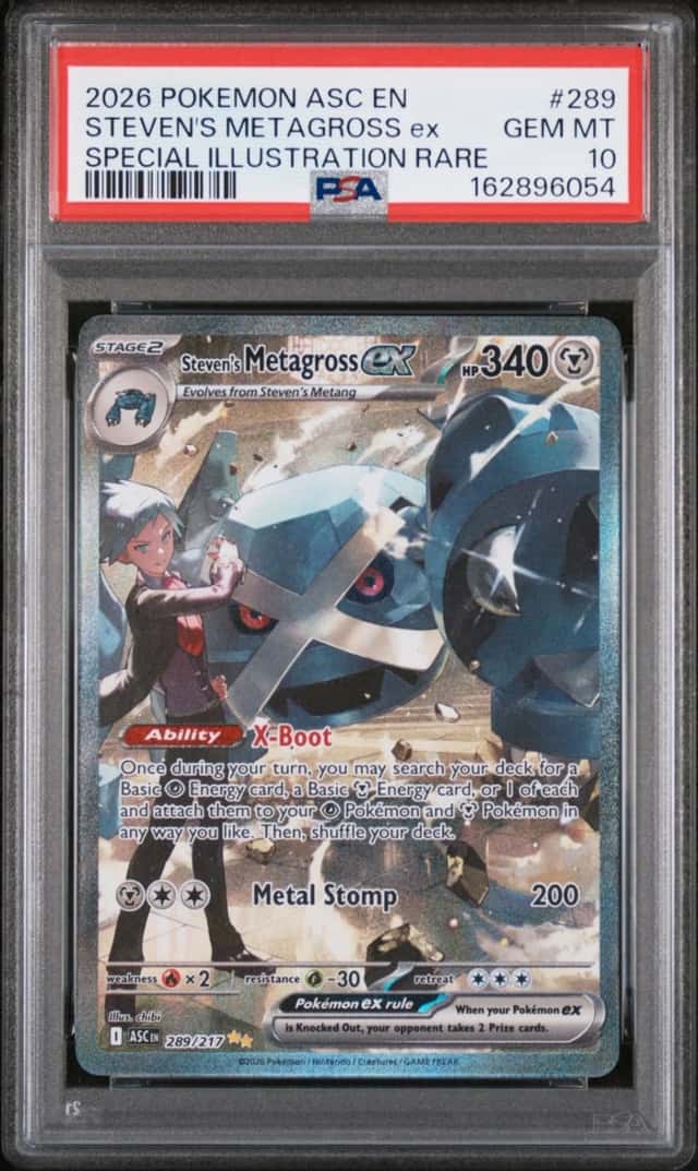 STEVEN'S METAGROSS ex