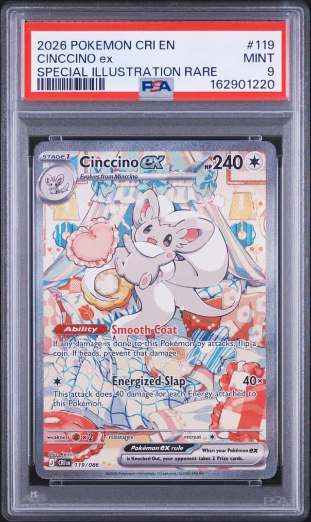 CINCCINO ex