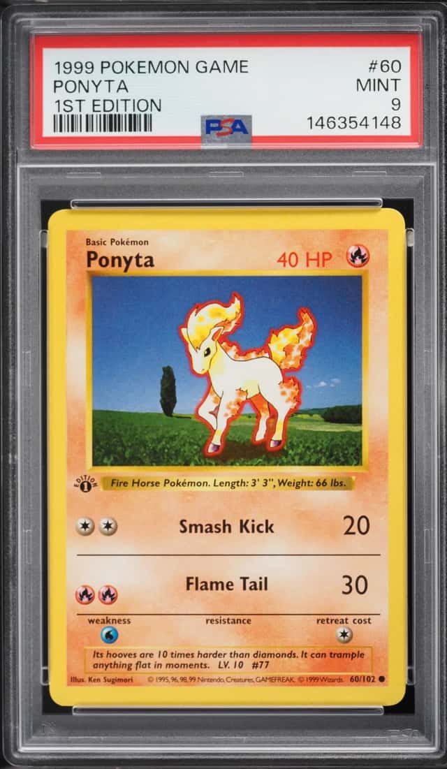 Ponyta