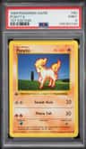 Ponyta