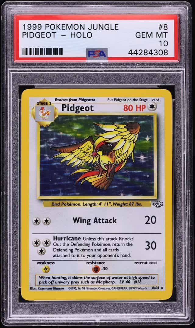 Pidgeot