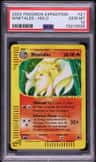 Ninetales