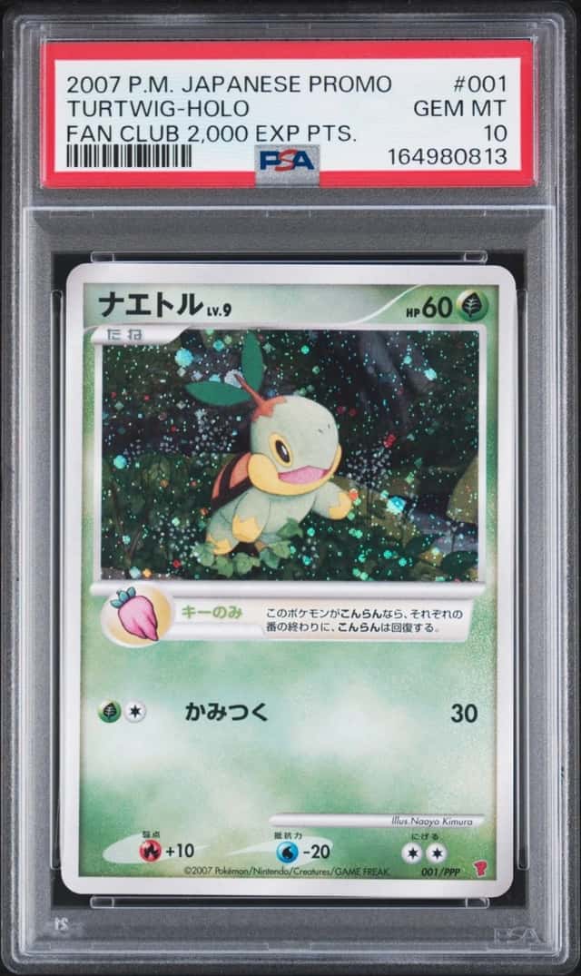 Turtwig