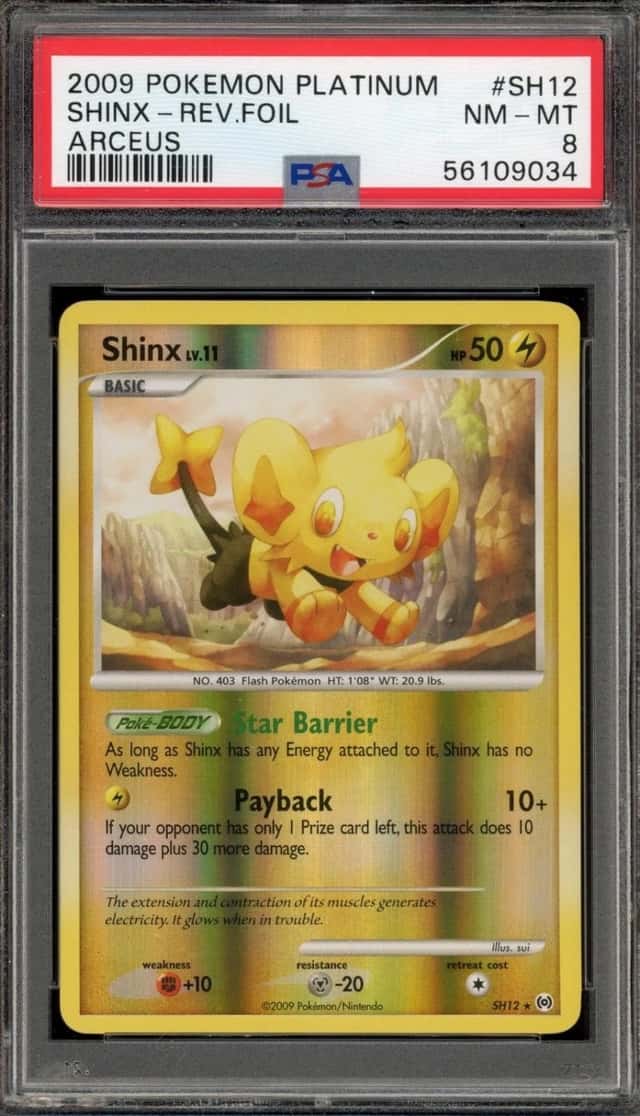 Shinx