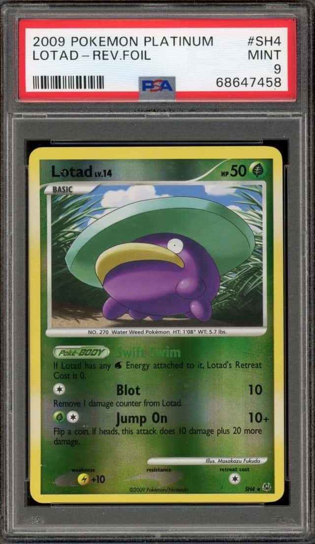 Lotad