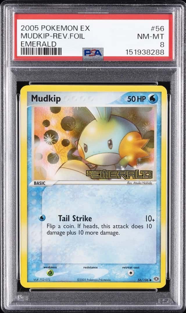 Mudkip