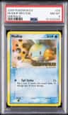 Mudkip