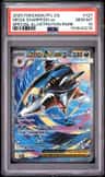 Mega Sharpedo Ex
