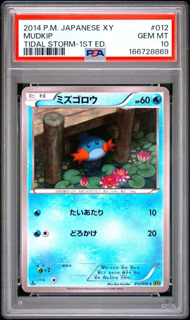 Mudkip