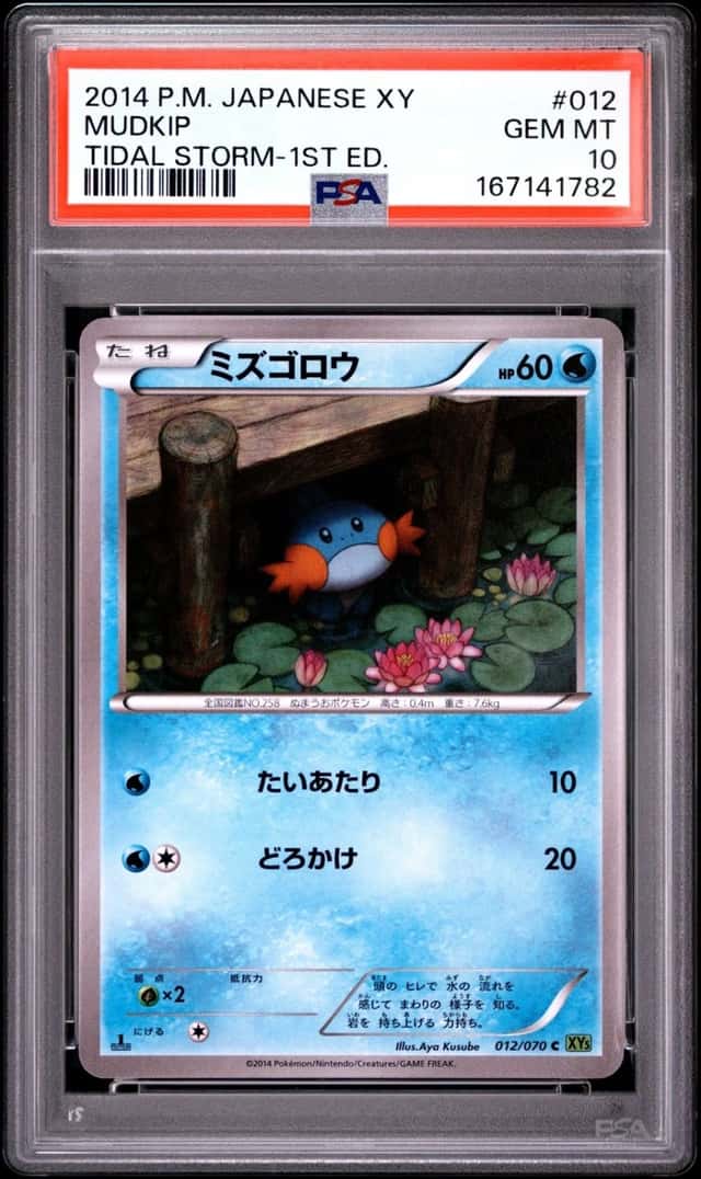 Mudkip