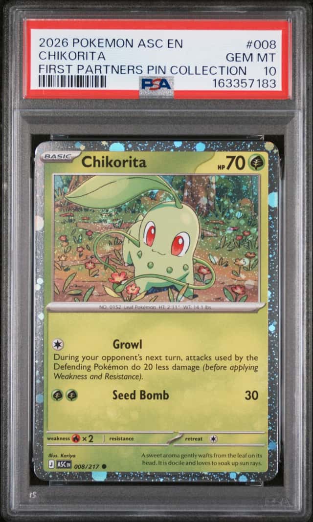 Chikorita