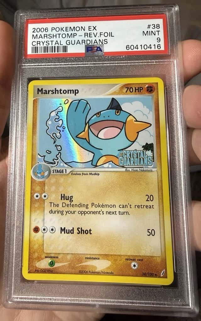 Marshtomp