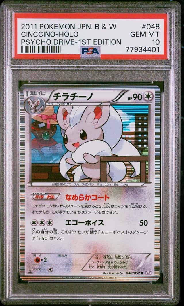 Cinccino