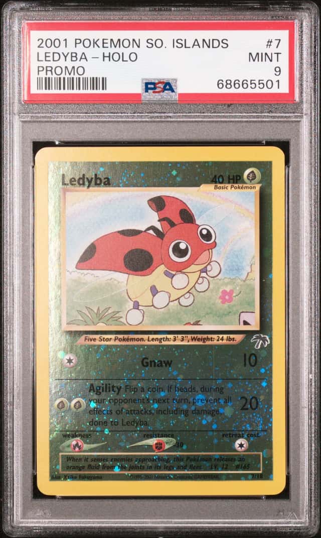 Ledyba
