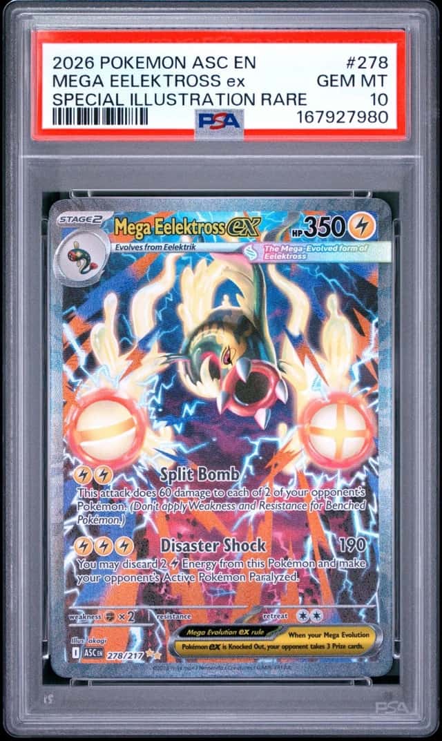MEGA EELEKTROSS ex