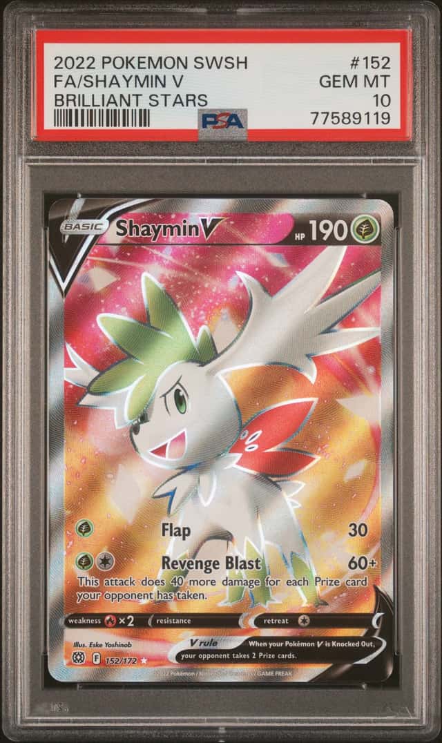 Shaymin V