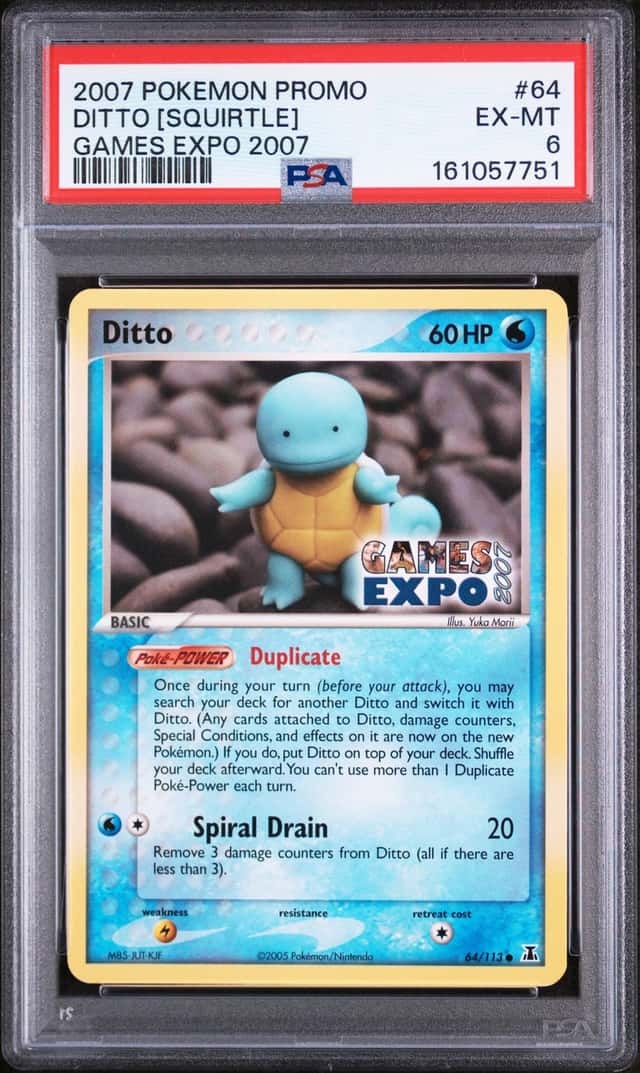 Ditto [Squirtle]