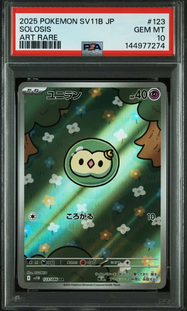 Solosis
