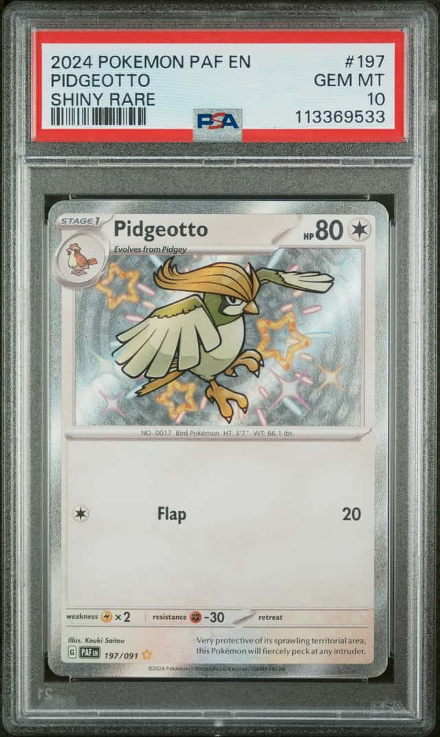 Pidgeotto
