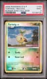 Turtwig
