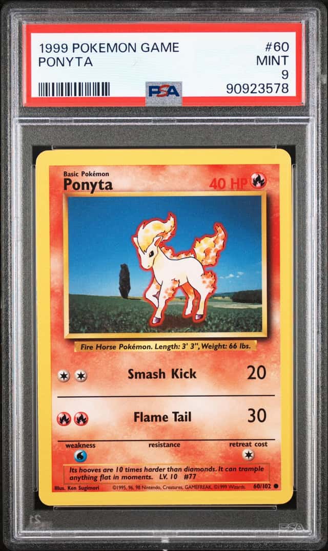 Ponyta