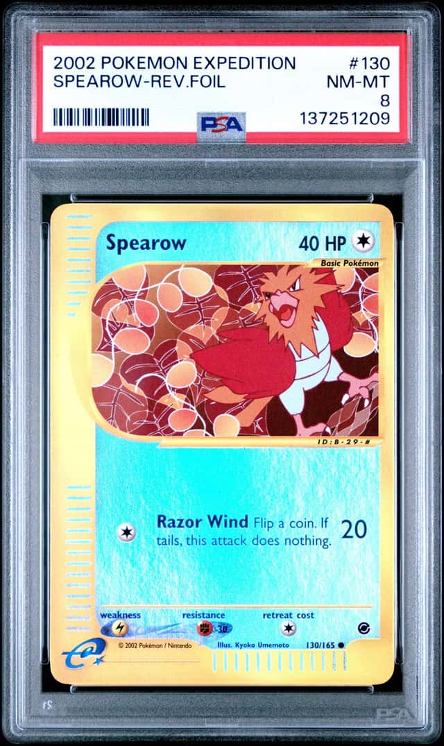 SPEAROW-REV.FOIL