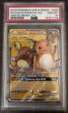 Raichu & Alolan Raichu Gx