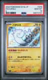 Pachirisu
