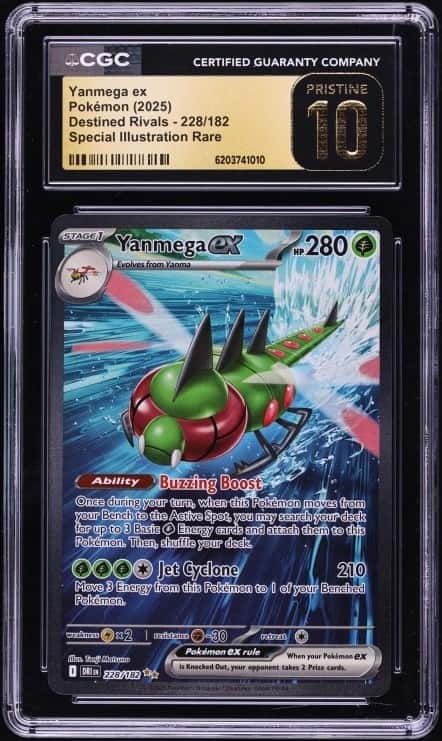 YANMEGA ex