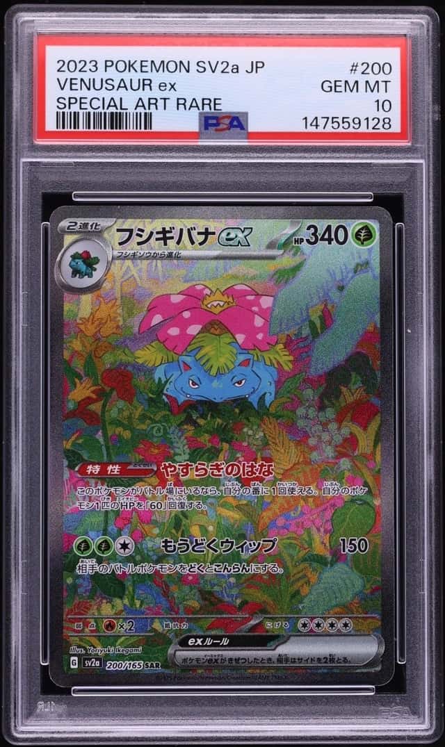 VENUSAUR ex