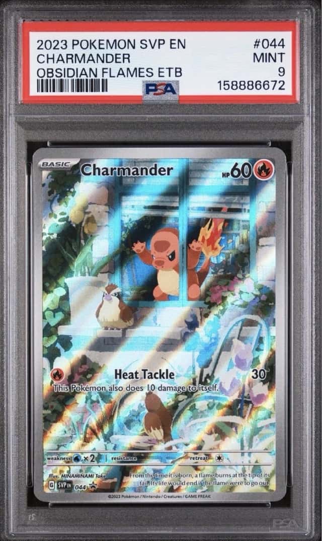 2025 Pokemon JTG EN Articuno Illustration Rare
