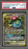 Venusaur & Snivy Gx