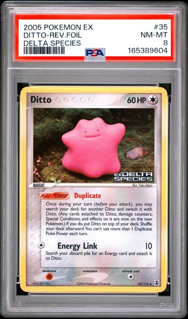 Ditto
