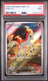 Ponyta