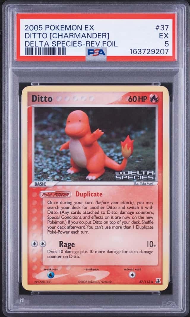 Ditto [Charmander]