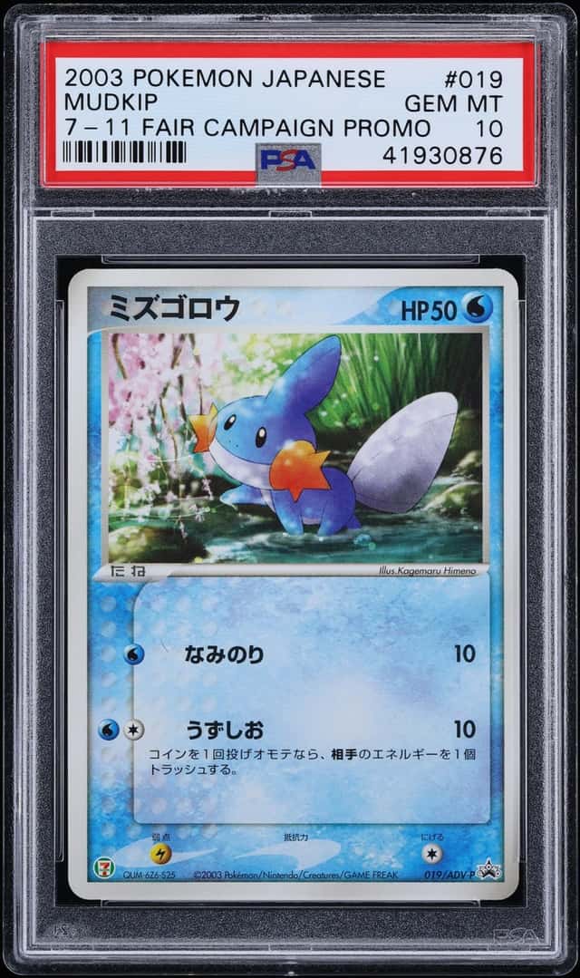 Mudkip
