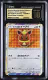 Poncho-Wearing Eevee