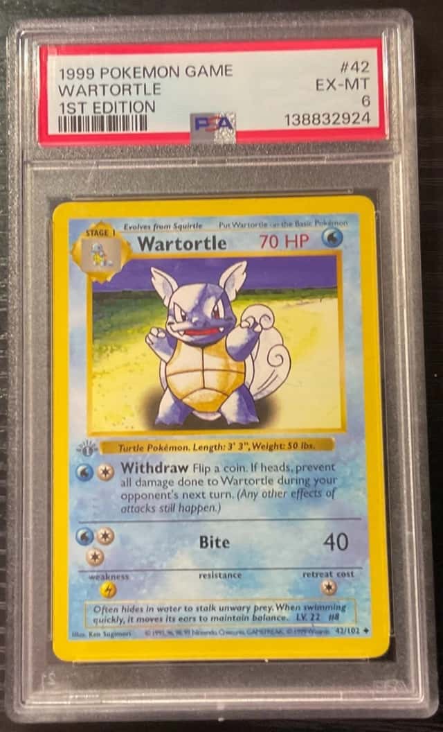 Wartortle