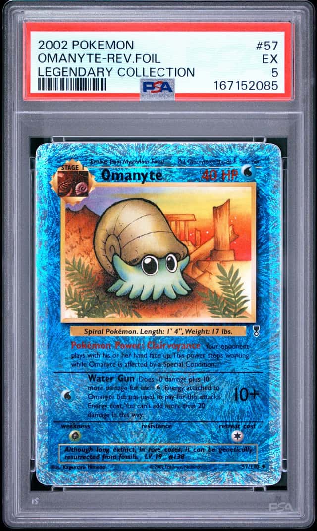 Omanyte