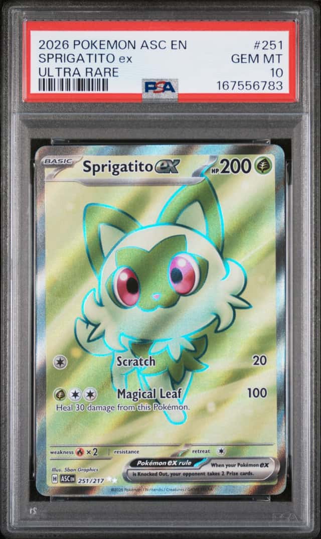 SPRIGATITO ex
