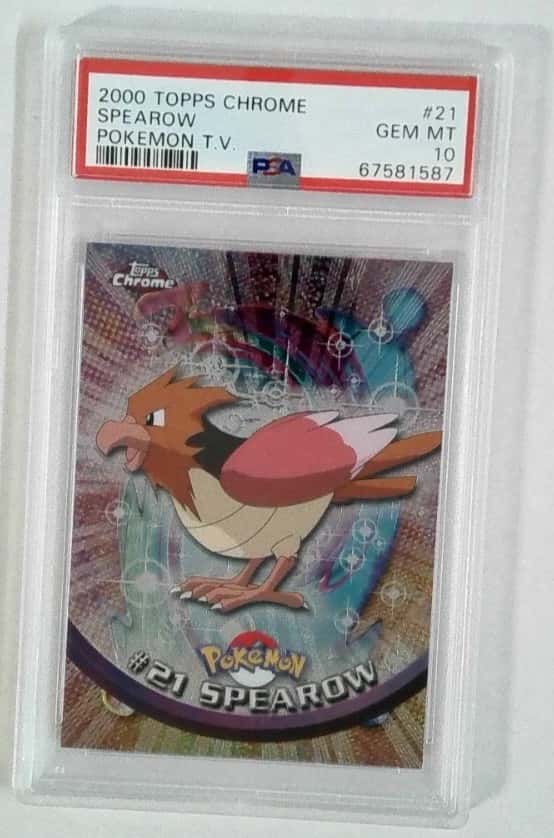 Spearow