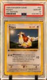 Pidgey