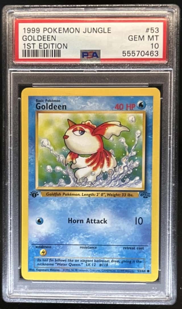 Goldeen