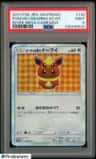 Poncho-Wearing Eevee
