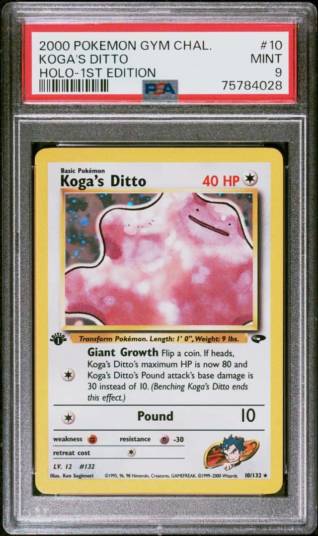 Koga's Ditto