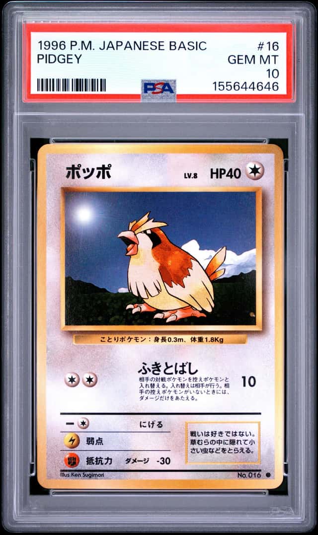 Pidgey