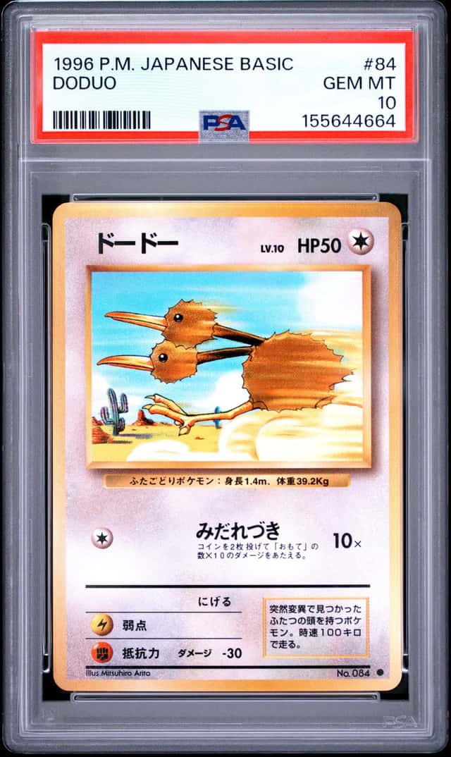 Doduo